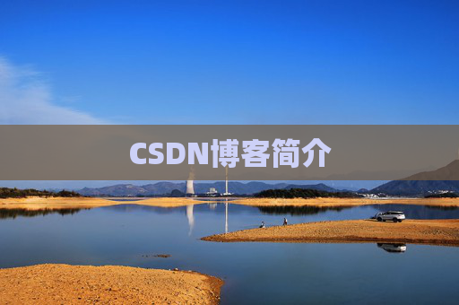 CSDN博客简介